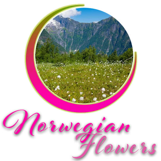 Norwegian Flowers Compressed Towels